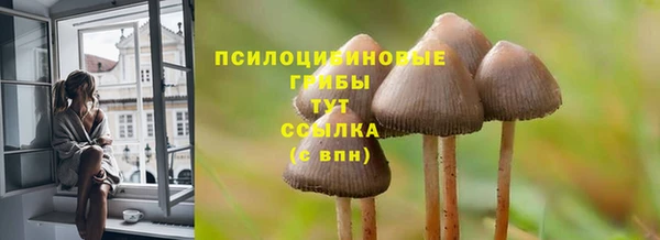 сатива Гусев