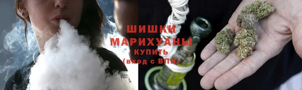 дурь Гусиноозёрск