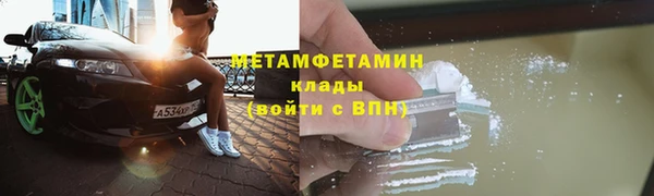сатива Гусев
