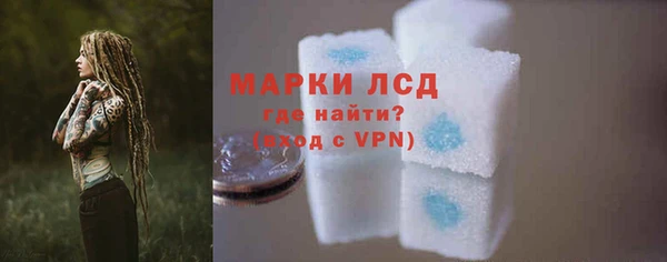 сатива Гусев