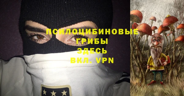 сатива Гусев