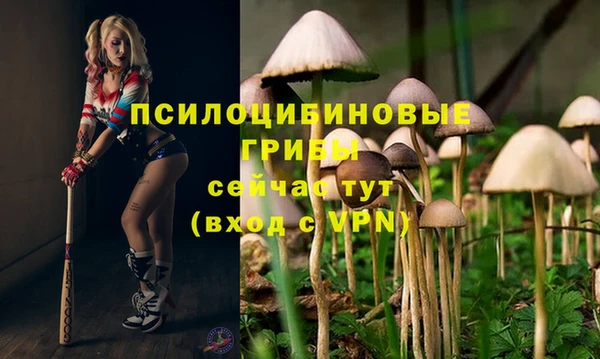 дурь Гусиноозёрск