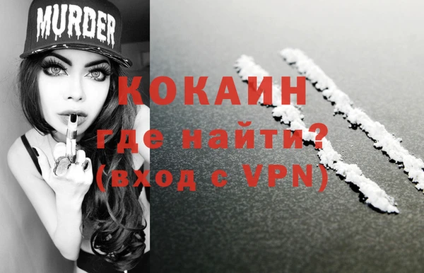 дурь Гусиноозёрск