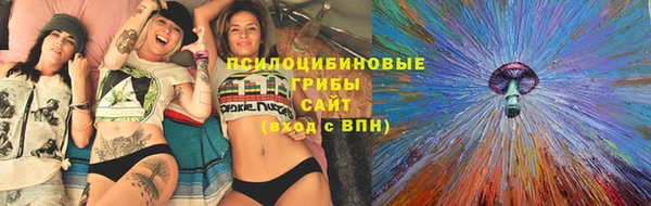 дурь Гусиноозёрск