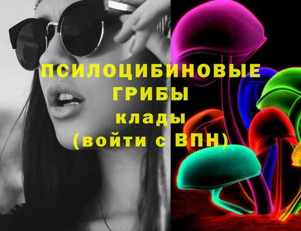 сатива Гусев