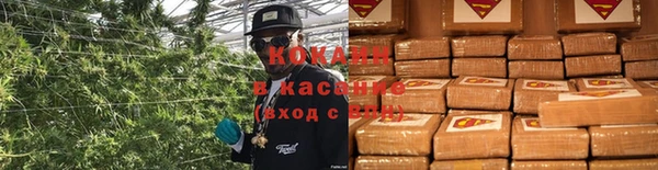 сатива Гусев